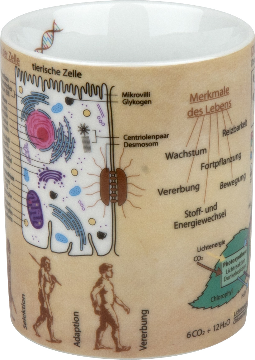 Könitz Astronomie Wissensbecher im Geschenkkarton Becher Tasse Kaffeetasse 460ml 
