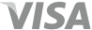 Logo visa 2x